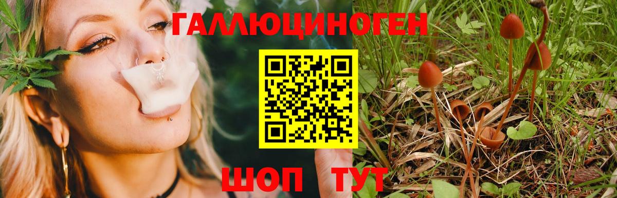 Псилоцибиновые грибы GOLDEN TEACHER Йошкар-Ола