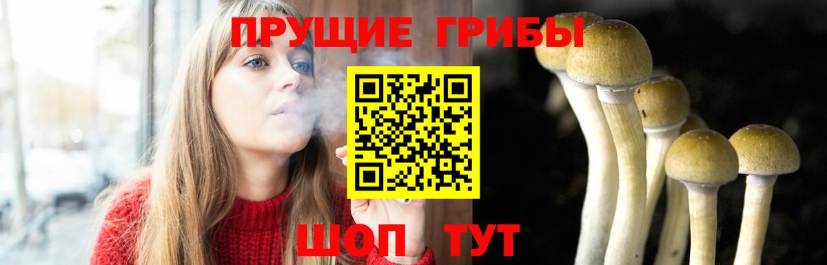 Псилоцибиновые грибы Psilocybine cubensis  Галлюциногенные грибы GOLDEN TEACHER  Вход с VPN  Йошкар-Ола 